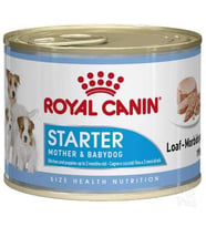 Royal Canin Starter Mousse Yavru Köpek Konservesi 195 Gr
