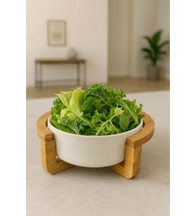 Bambu Standlı Porselen Salata ve Mutfak Tabağı, 12cm, şık ve kullanışlı