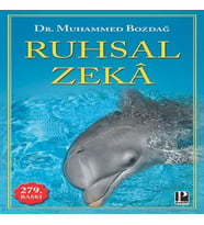 Ruhsal Zeka