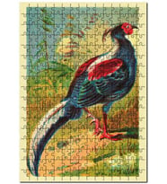 Cakapuzzle Sülün Kuşu Görseli Puzzle Yapboz MDF (Ahşap) (120 Parça)