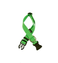 Actirex Neon Yumuşak Doku Ayarlanabilir Köpek Boyun Tasma Green 35-58cm (Yeşil)