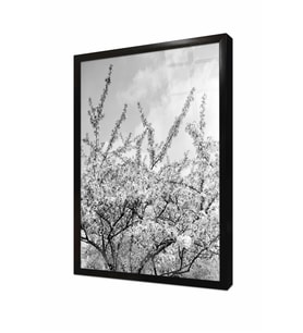Tablosan Bahar Dalları Çerçeveli Cam Tablo