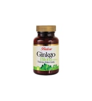 Ginkgo Biloba Tablet 600 Mg*60
