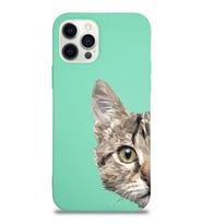 Apple iPhone 12 Pro Uyumlu Lansman Kılıf Catface Tasarımlı İçi Kadife Kapak-Su Yeşili (Şeffaf)