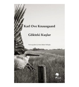 Gökteki Kuşlar