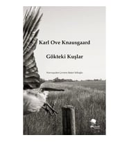 Gökteki Kuşlar
