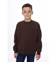 Toontoy Erkek Çocuk Nakışlı Sweatshirt (Kahverengi)