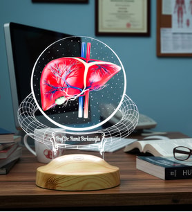 Karaciğer Hepatolog Uzmanına Hediye – Kişiye Özel Gastroenteroloji & Hepatoloji Doktoru LED Lamba, Karaciğer Tasarımlı Tıp Hediyesi