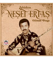 Neşet Ertaş Zahidem Gönül Dağı Plak