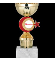 ODAK KUPA - Economy Kupalar - ECO-047 C - 18 cm