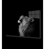 Aslan Hayvan Cam Tablo 4mm Dayanıklı Temperli Cam
