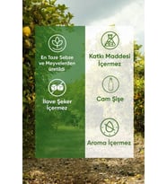 Energy Smoothie 250ml (Meyve-Sebze Suyu/Püresi)