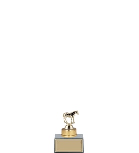ODAK KUPA - Hediyelik Ürünler - HDY-045 B - 12 cm