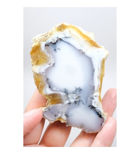 Dendritik Bal Opal Dilimi: Cilalanmış Merlinite Taşı (90g)