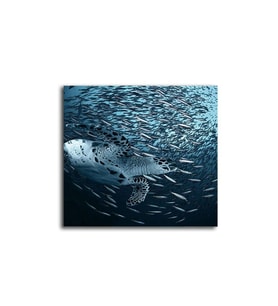 DBSanatevi Karetta Karetta Tablo 60 X 60 Cm