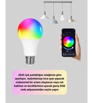 Kumanda Destekli Çok Renkli Akıllı Led Ampul