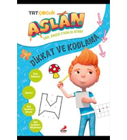Aslan Dikkat ve Kodlama