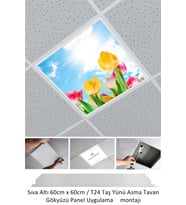 Asma Tavan-60cmx60cm-sıva Altı-54w-6500k-beyaz-led Panel-led Armatür-taş Yünü Asma Tavan-banyo Tavan