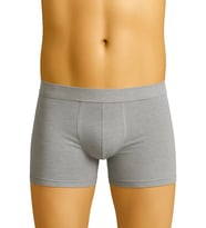 LYYN Gri Mı Emay 6800 Erkek Boxer