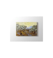 DBSanatevi Vincent Van Gogh - Olive Trees Tablo 50 x 70 cm
