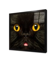 Kedi Çerçeveli Cam Tablo