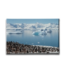 Penguen Kanvas Tablo HYY132