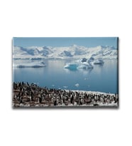 Penguen Kanvas Tablo HYY132