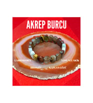 Akrep Burcu Doğal Taş Roleks Bileklik