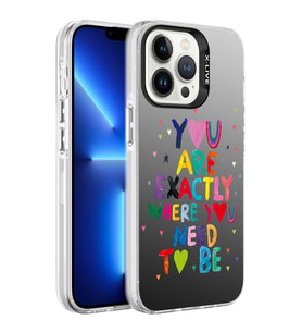 Apple iPhone 13 Pro Kılıf Desenli Zore Silver Sert Kılıf You