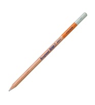 BRUYNZEEL DESING COLOUR KURU BOYA KALEMİ - DULL COLD GREY - B880588K
