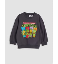 LCW baby Antrasit Ninja Turtles Erkek Çocuk Kalın Sweatshirt