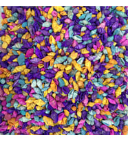 Nassa Shell-Karışık Renkli Kiloluk Deniz Kabuğu (1 KG) (Çok Renkli)