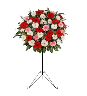 RENKLİ  GERBERA FERFOJE