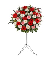 RENKLİ  GERBERA FERFOJE