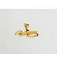 erkek kemal atatürk kolye ucu (Gold)