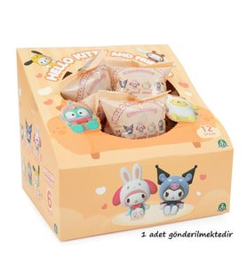 Hello Kitty Sürpriz Kıyafet Degiştirme Partisi HKT46000