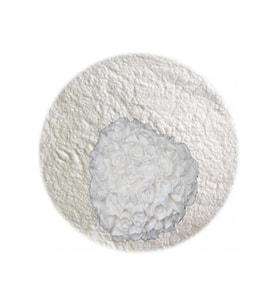 TAŞ TOZU BEYAZ 1KG