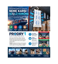 PRODRY 1 Konteyner Nem Alıcı Aktif Kil – Askılı Rutubet Giderici, Nem Tutucu, Yoğuşma ve Korozyon Önleyici 2 Paket 2 KG