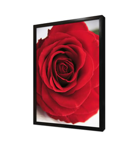 Makro Gül Çerçeveli Mdf Tablo