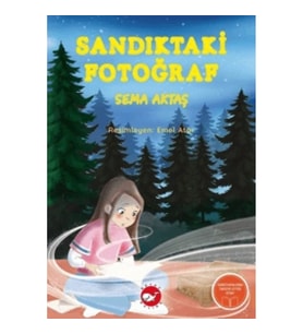 Sandıktaki Fotoğraf