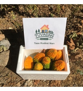 Taze Kudret Narı Meyvesi 500gr - Tarladan Doğal Karela Bitter Gourd Melon 500gr