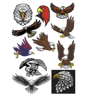 Kartal Sticker Set-1 11 Parça Telefon, Tablet, Defter, Laptop Sticker