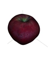 Apple Richard (özel isim – açıklama yok)