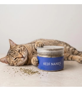 Doğal Kedi Nanesi (Catnip) - 250 ml Kavanoz - Eğlenceli ve Doğal