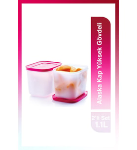 Yüksek Gövdeli 2'li Buzluk Saklama Kabı, 1.1 Lt, Pratik ve Dayanıklı