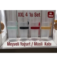 XXL 4 'lü Set Meyveli Yoğurt Kabı***Müsli Kabı (4x 700ml) (Çok Renkli)