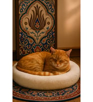 Kedi yatağı