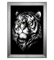 Hayvanlar Temalı Kanvas Tablo 50 x 70 cm Silver Çerçeve