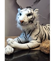 MUHTEŞEM BENGAL BEYAZ KAPLAN -50CM