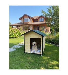 Büyük Boy Köpek Kulübesi Dış Mekan Lambri Model